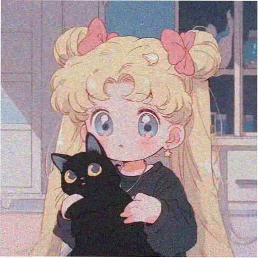 许愿柳观众头像