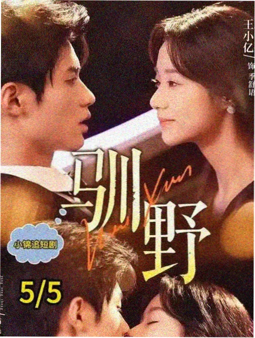 许愿柳律政剧集双面证词剧照